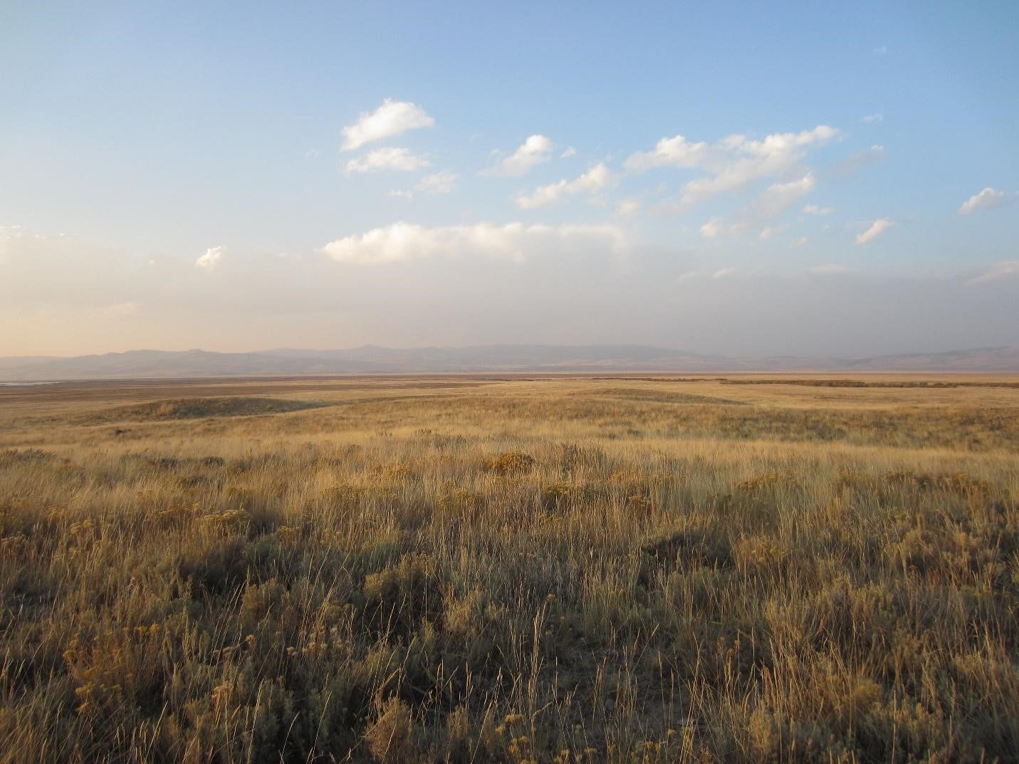 Photo by Callie Puntenney Rangeland extending out to the horizon at sunset in Fall with foothills in the distance