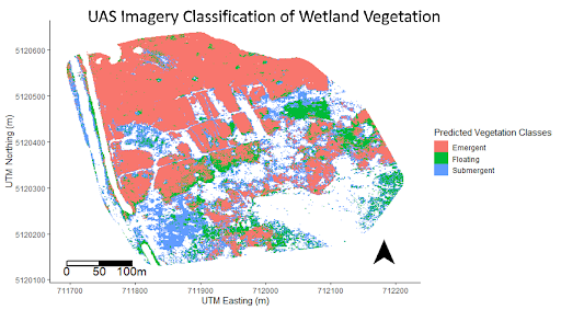 Classification outputs of three functional vegetation types in a Michigan wetland.