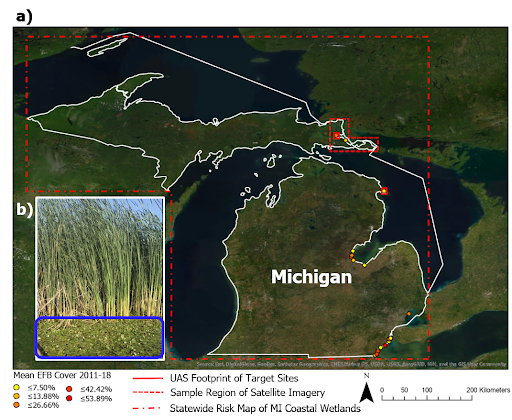 Study region of Michigan coastal wetland landscape from UAV footprints of individual wetland sites, regional, and statewide.