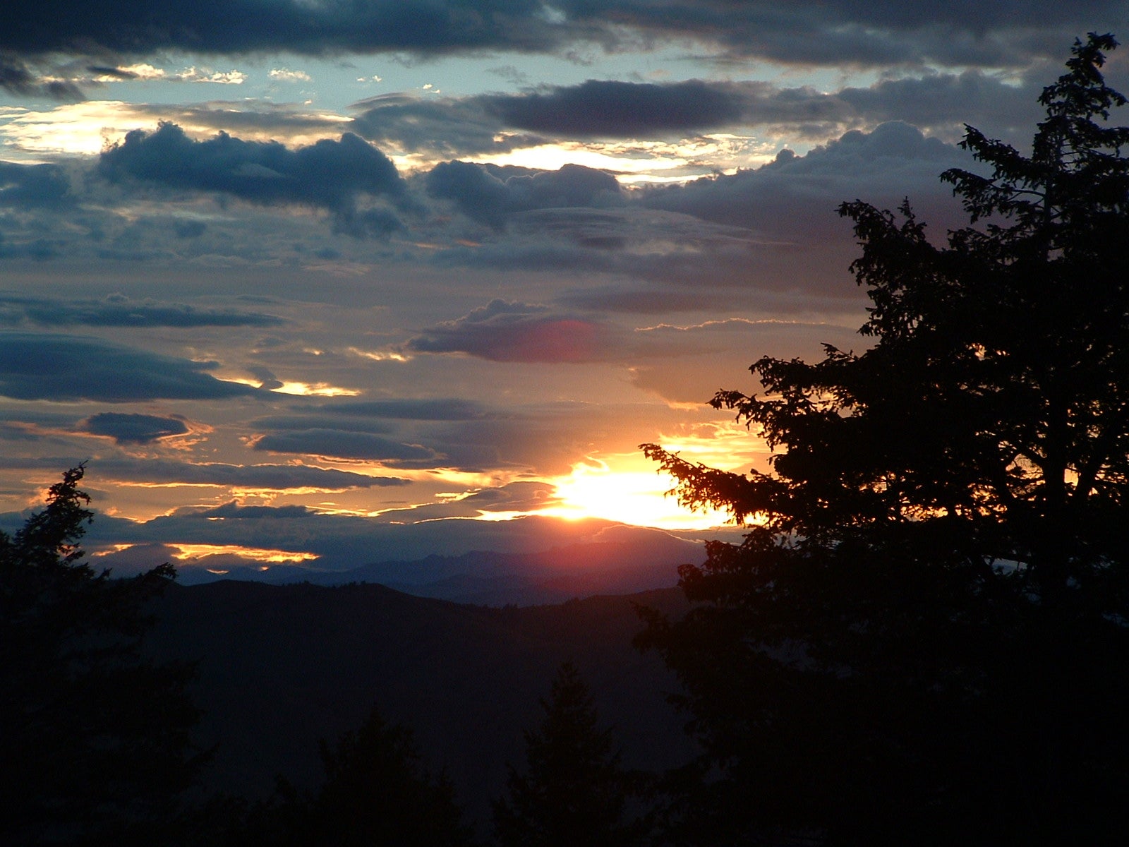 image shows a breathtaking view of the sunsetting over the mountains through bluish, pinkish and redish hues reflecting off of the clouds. Silouettes of fir trees border the image