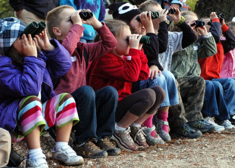 a group of kindergarten age kids sit next to each other on a log using binoculars.