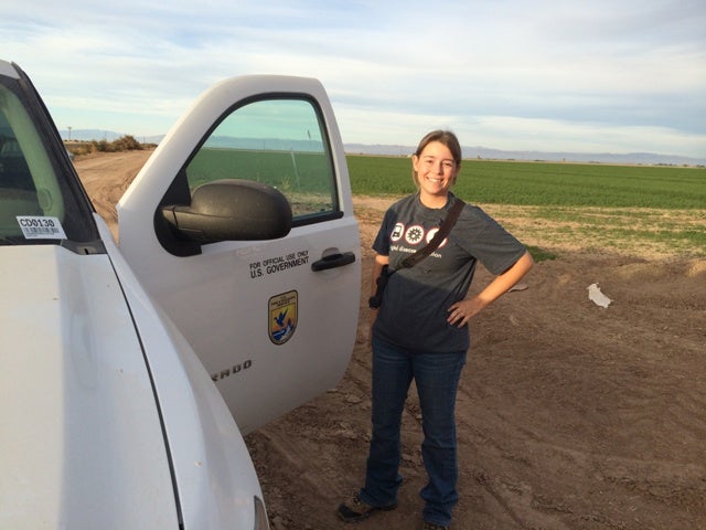 Katie Montgomery of the Sonny Bono Salton Sea National Wildlife Refuge smiling after we’d just found hundreds of White-faced Ibis along with many Ring-billed Gulls and ~20 Long-billed Curlews in a recently-irrigated agricultural field. Borah’s satellite transmitter had sent a signal from this field earlier that morning but we couldn’t find him!