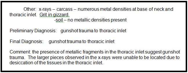 The conclusions from Venus's necropsy report