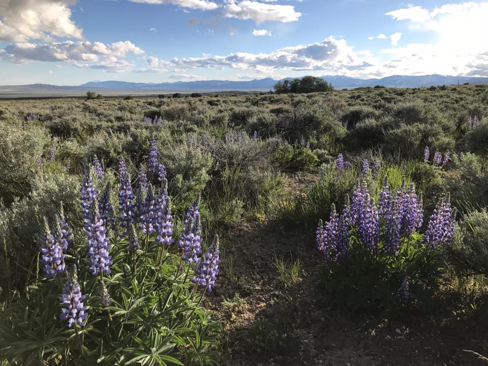 Brett Bunkall survey view in Utah