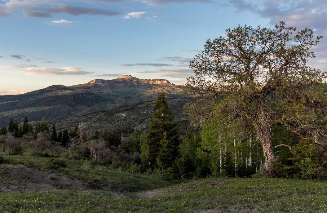 scenic view of mountains at dawn