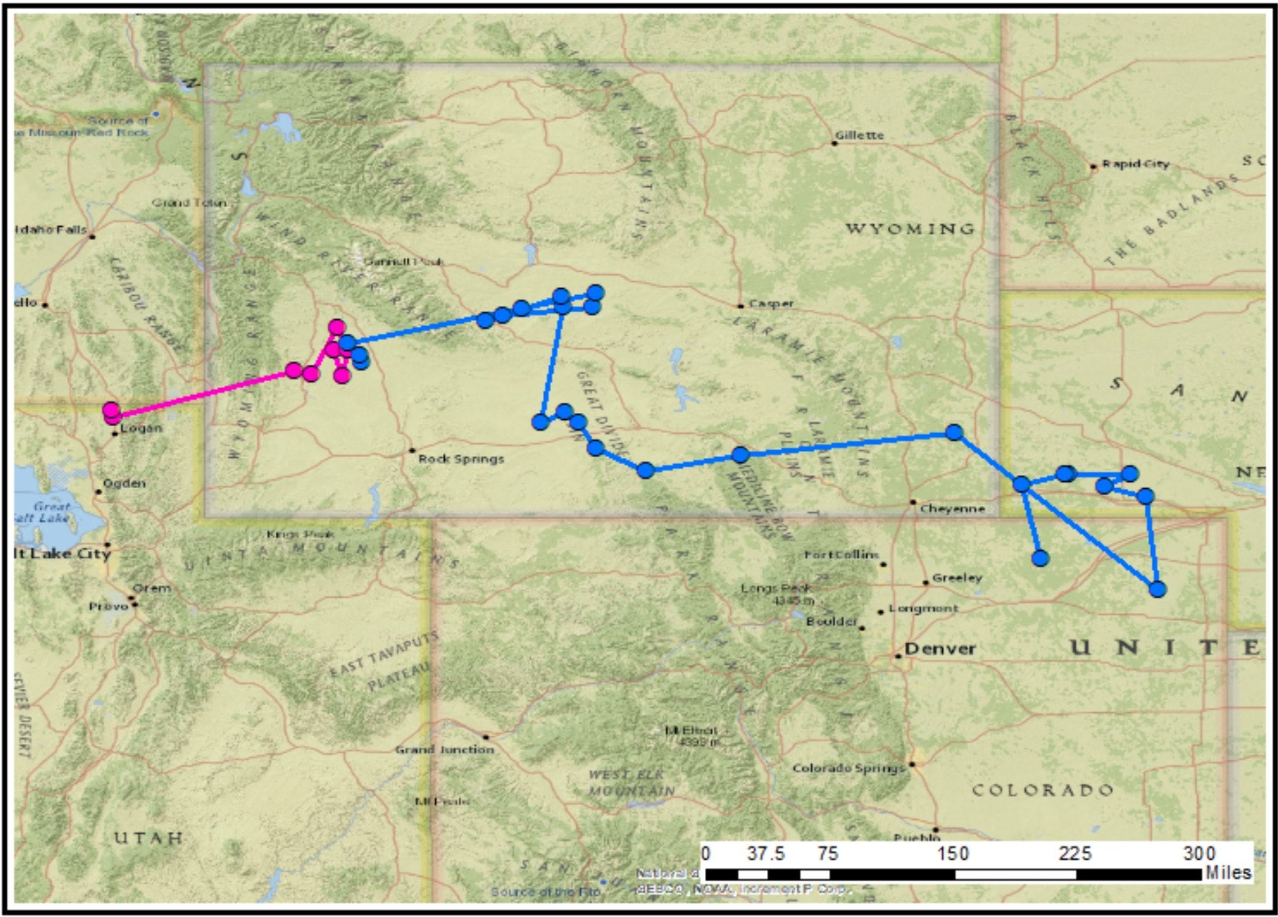 a map indicating bird movement from Utah to Colorado