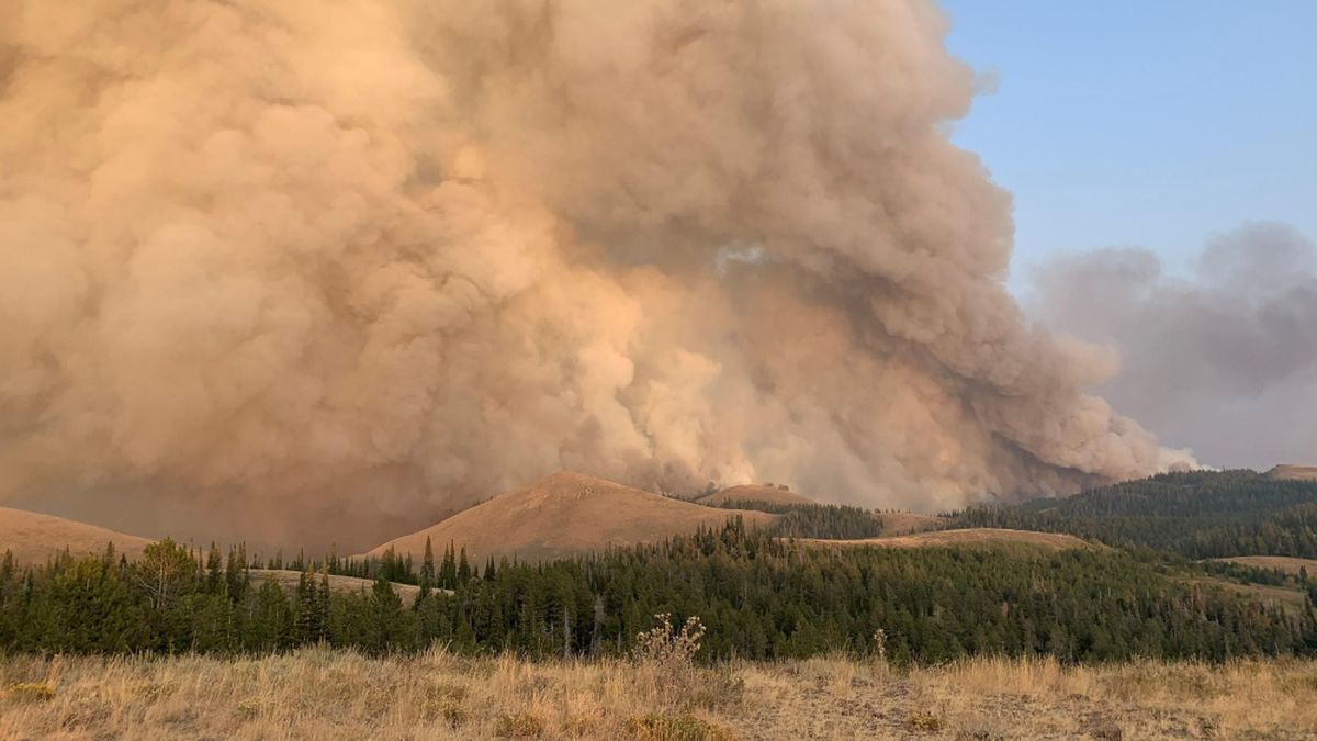 a massive smoke cloud fills the sky over a forest and sagebrush landscape