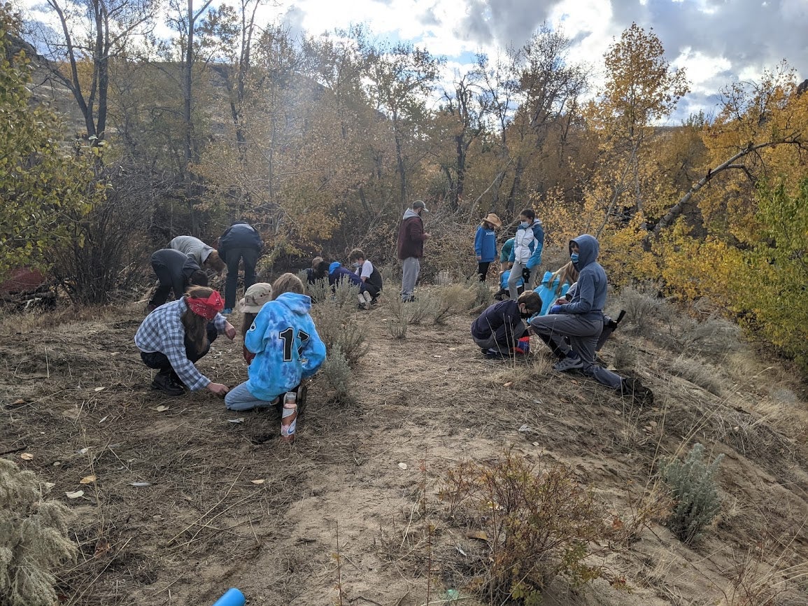 group of students kneel on the ground planting seedlings
