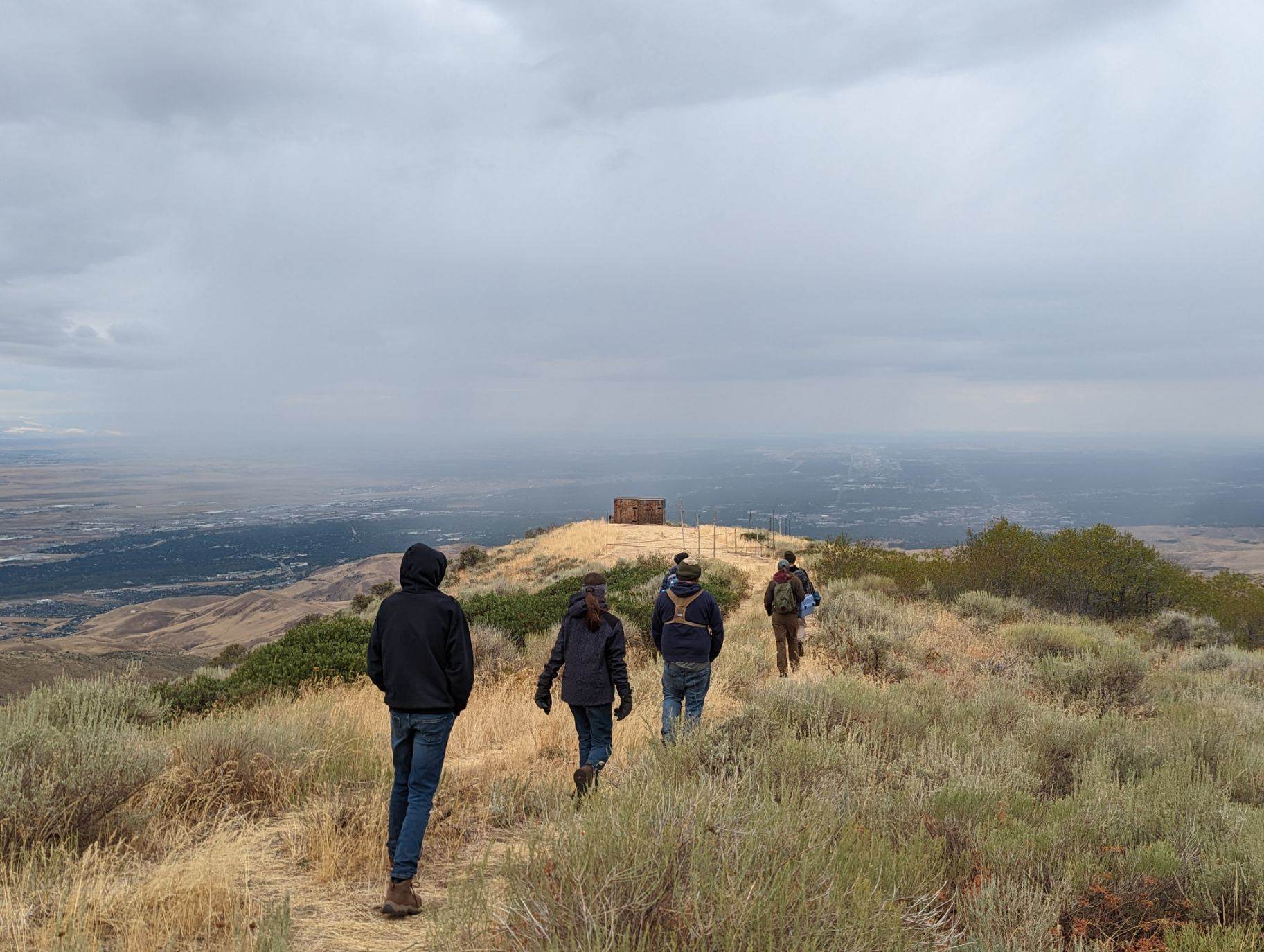 six people walk down a trail through sagebrush and grass