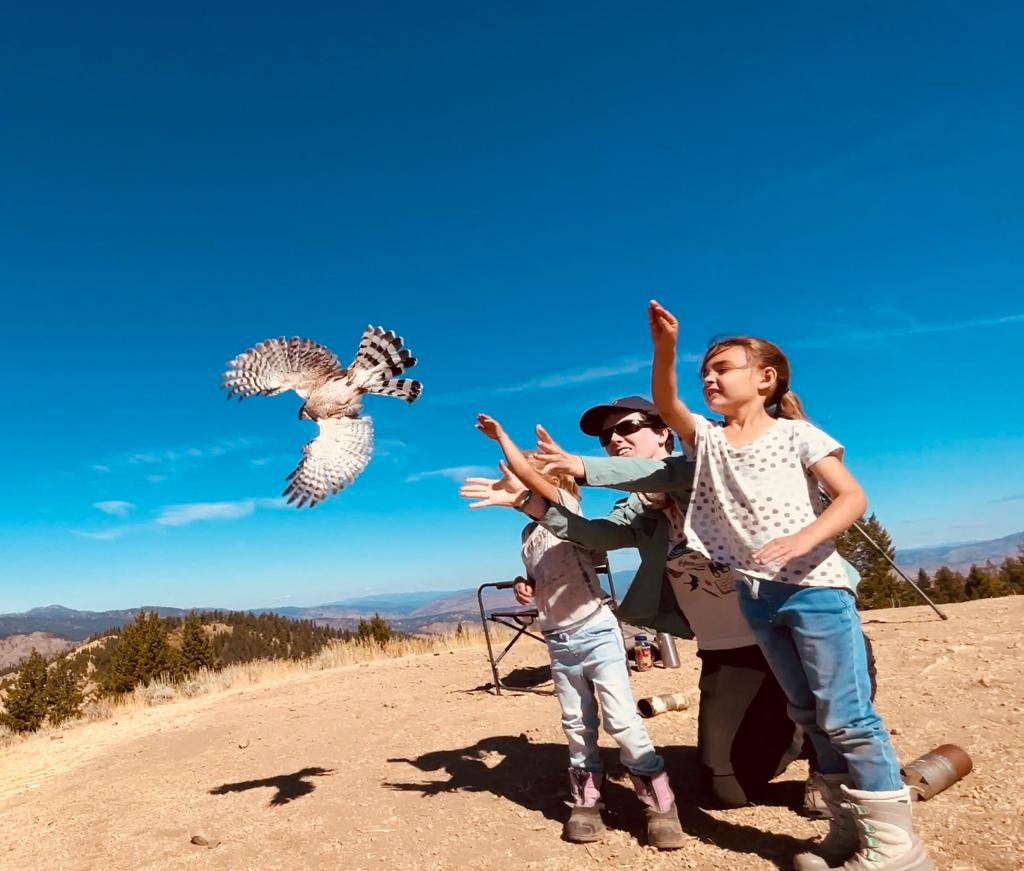 Students release a raptor with the help of IBO scientist