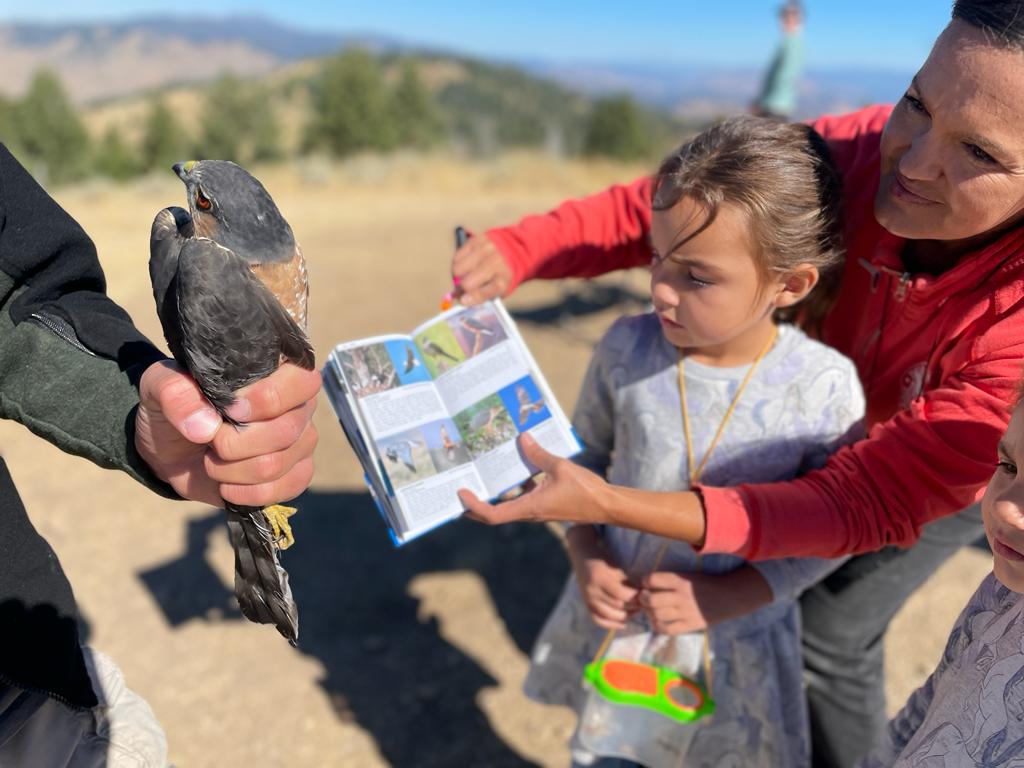 biologist holds a raptor while 2 children and their mother use a field guide to identify the bird