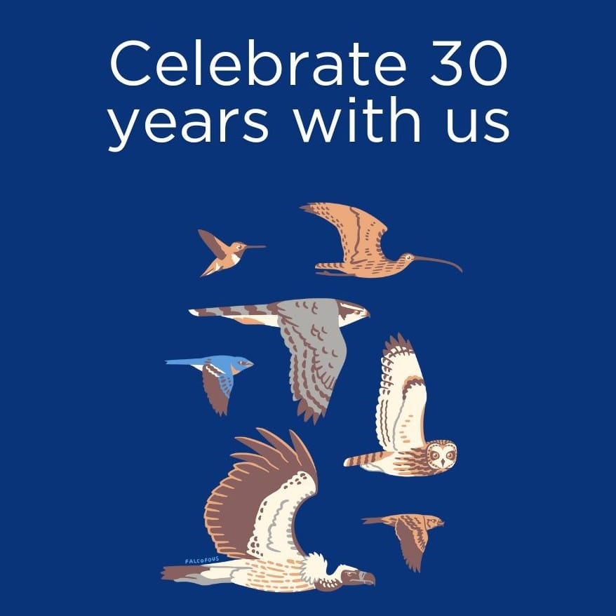 text reads "Celebrate 30 years with us" A curlew, hummingbird, goshawk, lazuli bunting, short-eared owl, white-backed vulture, and Cassia Crossbill graphic fly across a bronco-blue background.