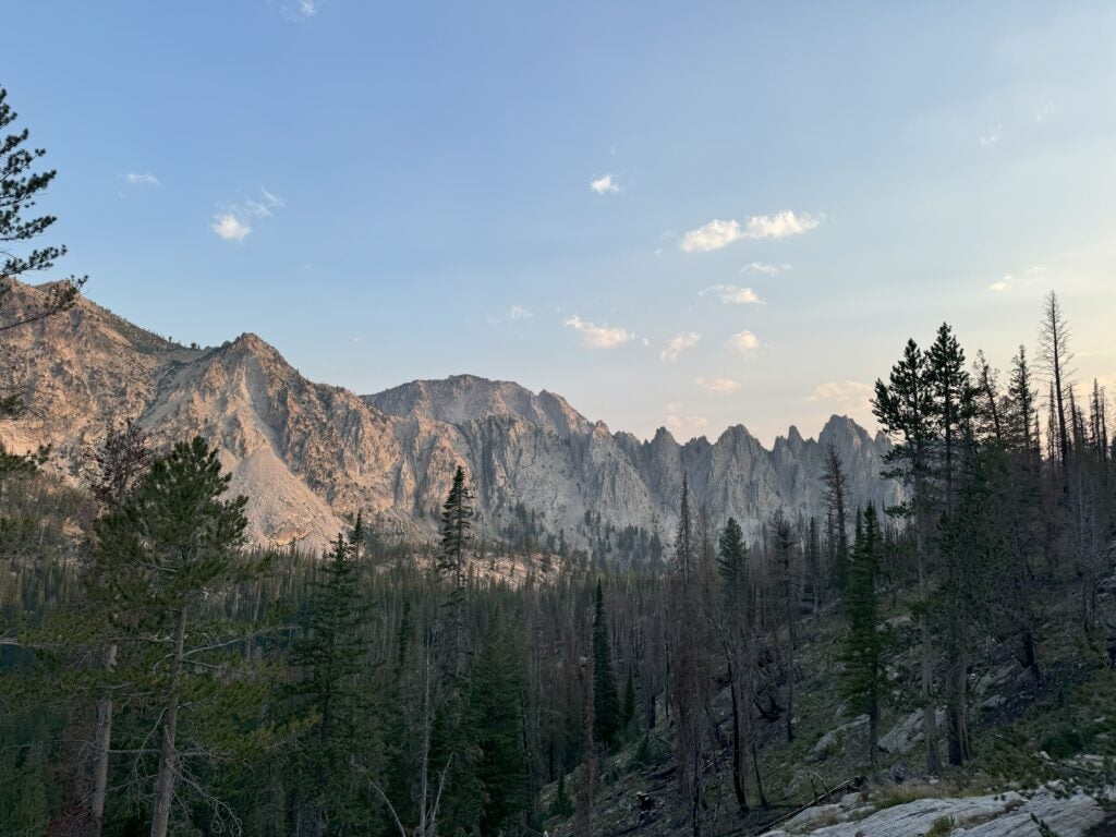 an expansive view of jagged gray mountain peaks, with high mountain conifer forest in the foreground.