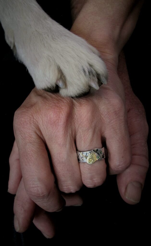 A white dog paw rests on top of two hands clasped together an done finger has an engagement ring on it.