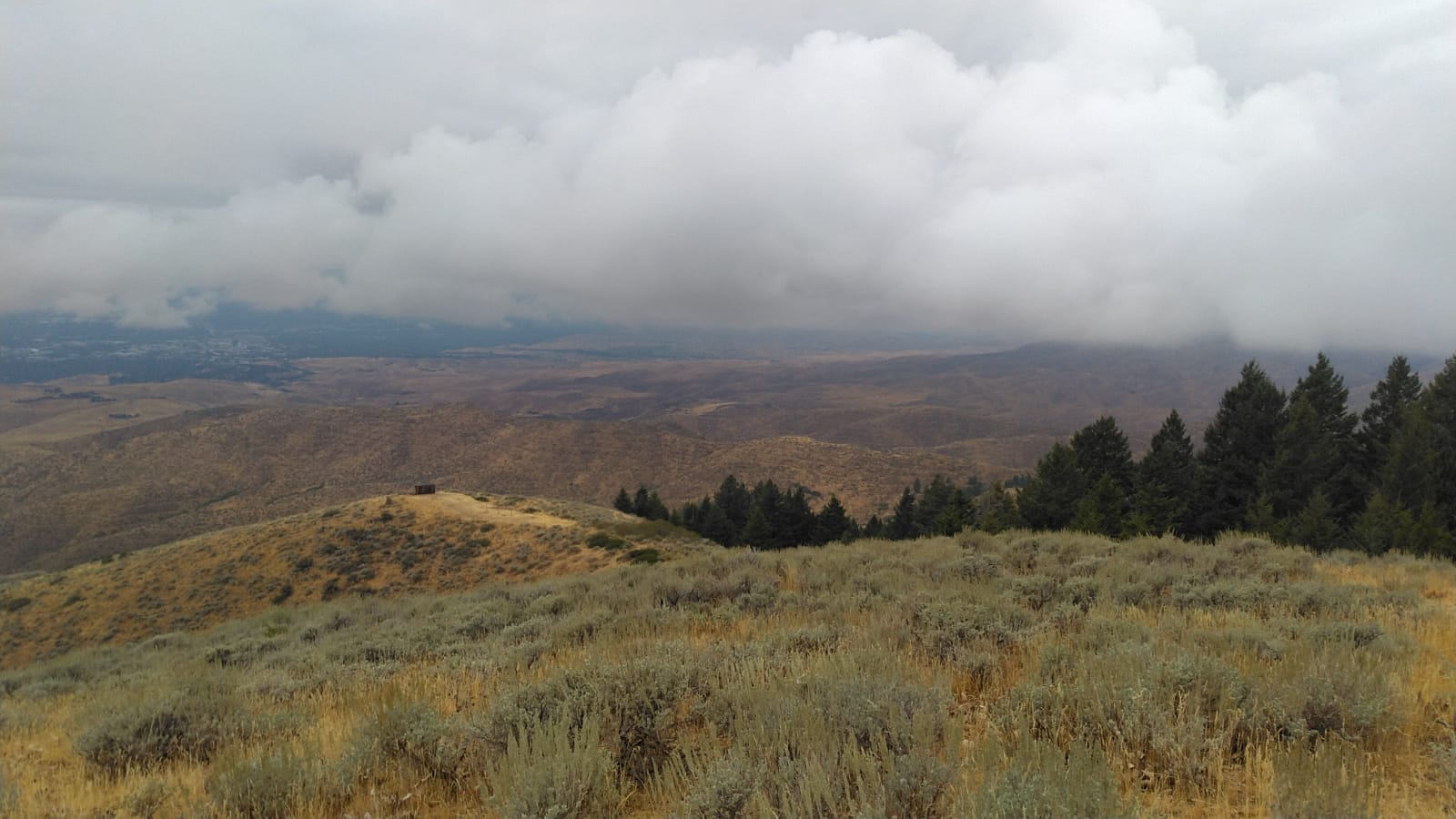The classic view from Lucky Peak hawkwatch. It is a gray cloudy day with low clouds covering the mountains to the north. The wooden hawk watch blind appears in the distance at the bottom of the hill, appearing like a small brown cube. The foreground shows Lucky Peak's douglas fir trees and sagebrush hillside