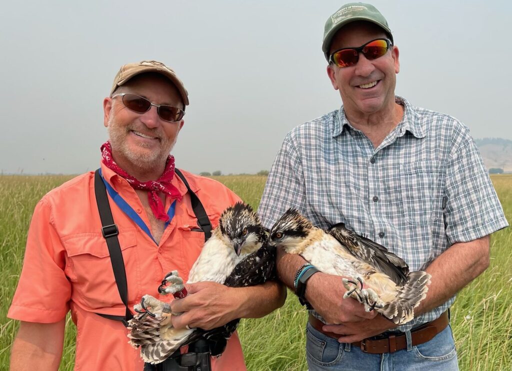 Greg and Jim stand together with big grins. Both are gently cradling young birds of prey in their arms.