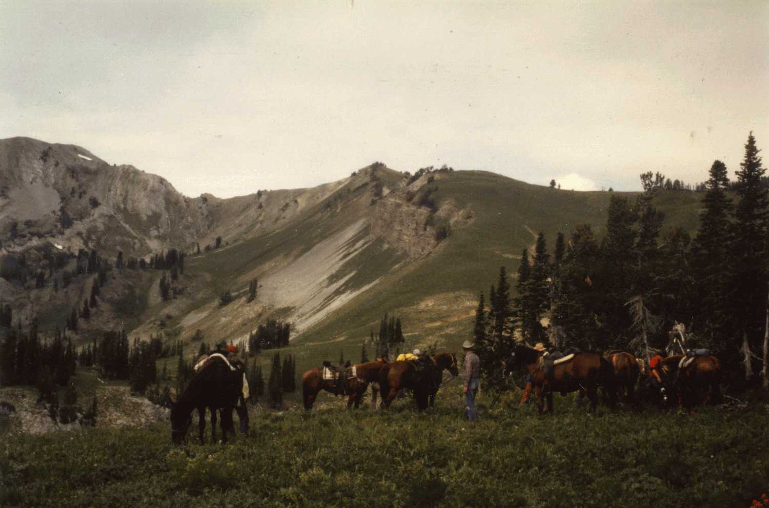 Warren McCain Western Life natural landscape