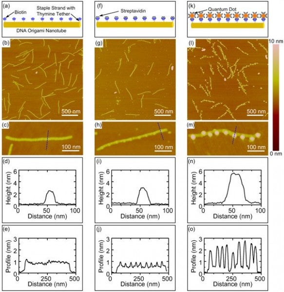Figure 2 DNA AFM example