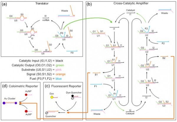 Figure 1 - DNA amplifier