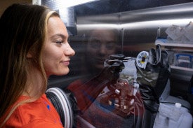 person in lab reaching into glass with gloves