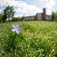 Photo of campus scenery