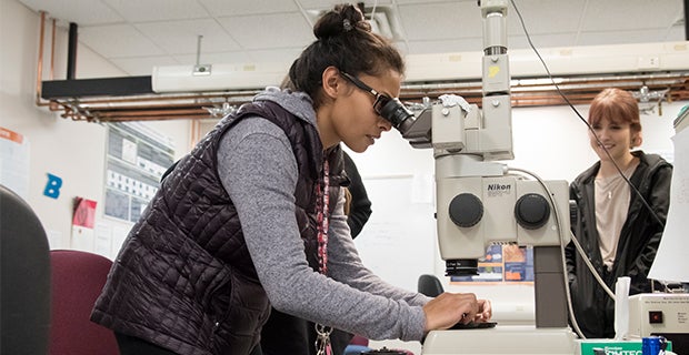 A student looks through a microscrope