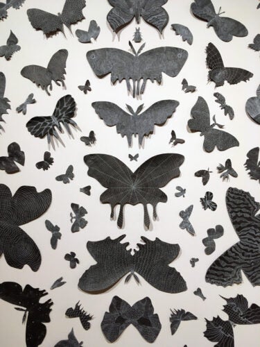 work by Kirsten Furlong