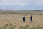 researchers in the field.