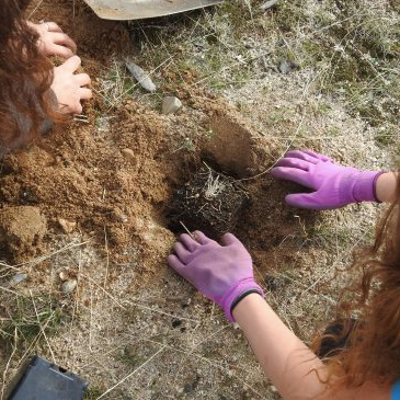 People planting plants
