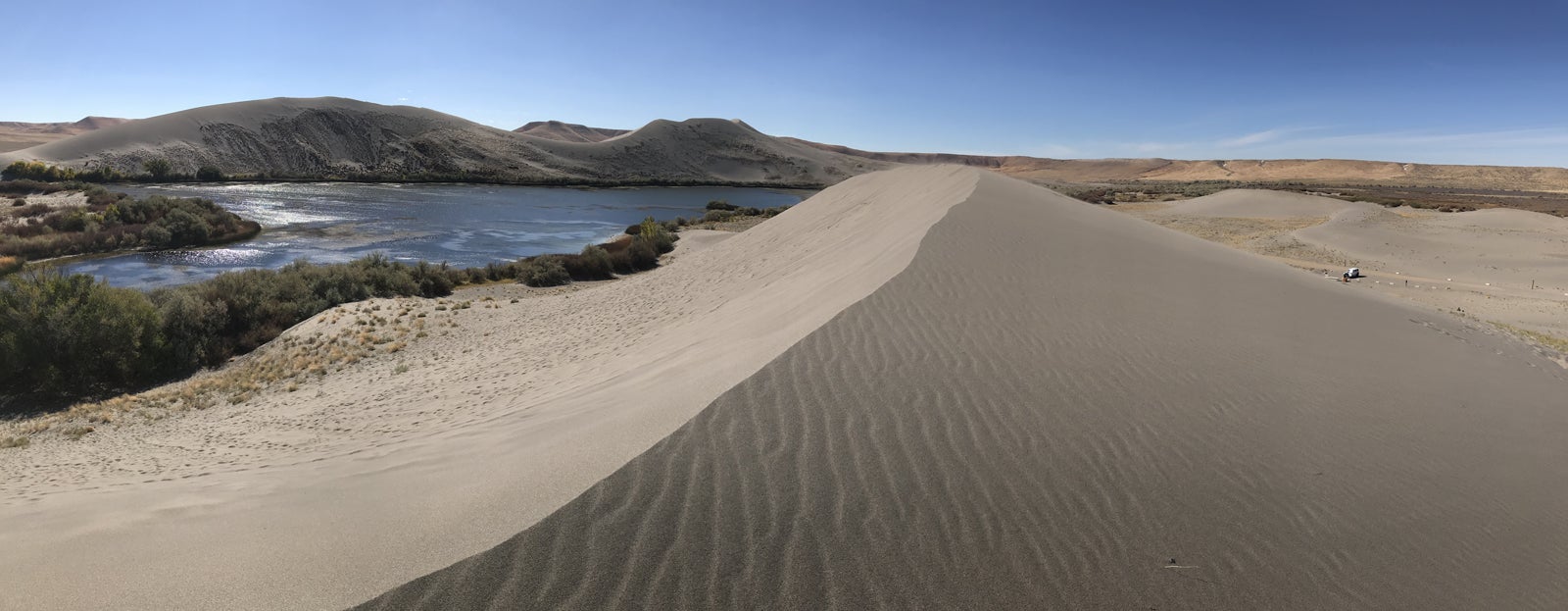 Bruneau Sand Dunes landscape