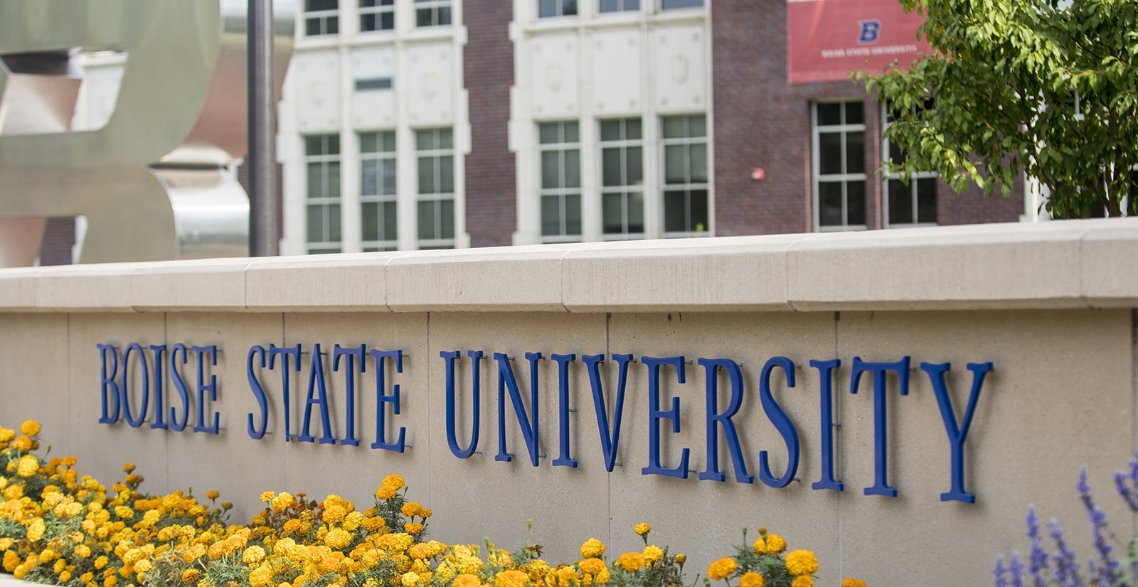 Boise State sign surrounded by yellow flowers