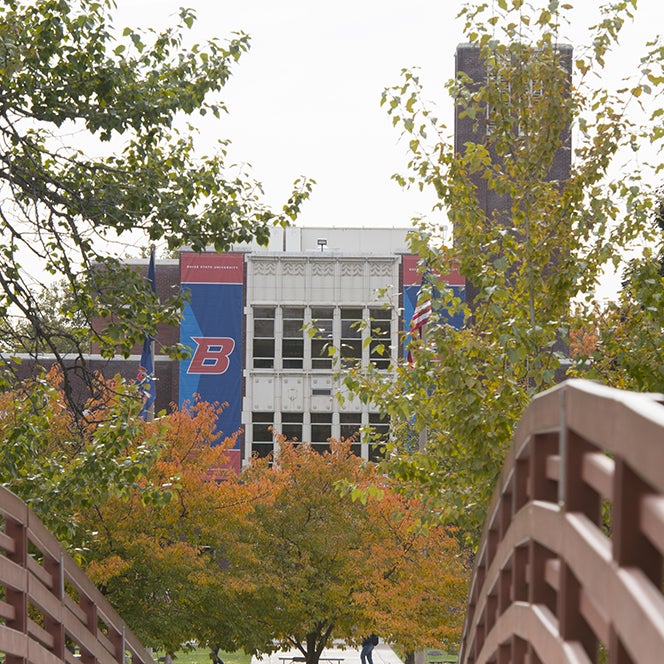friendship bridge in the fall.