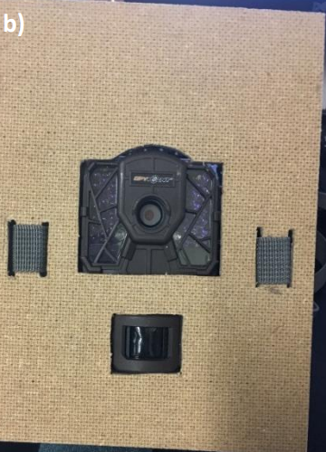 A camera mounted in a thing
