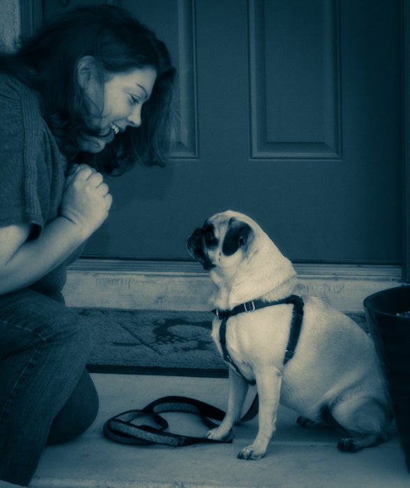 Volsche giving Lucy a treat.