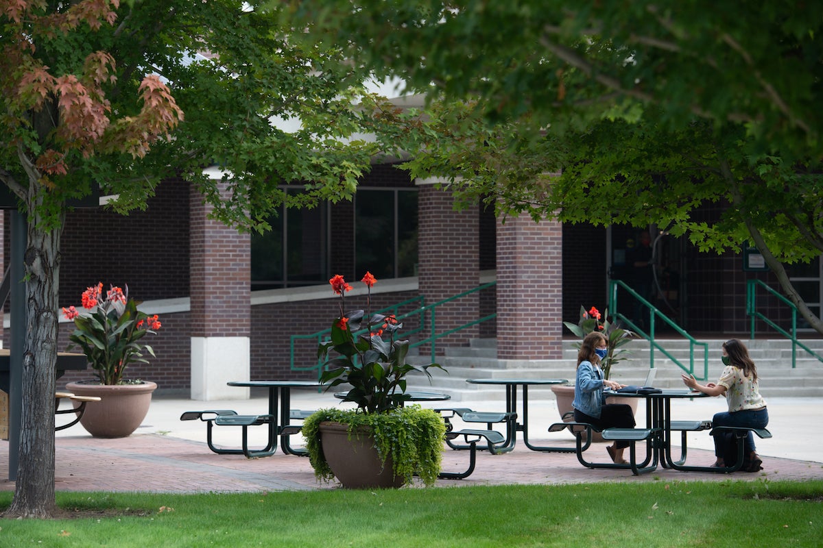 Campus flowers and landscaping scenes,