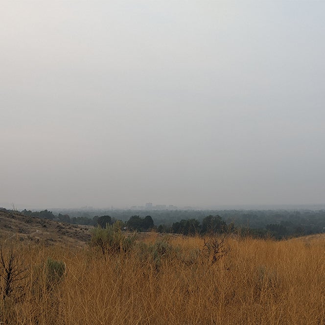 unhealthy smokey air
