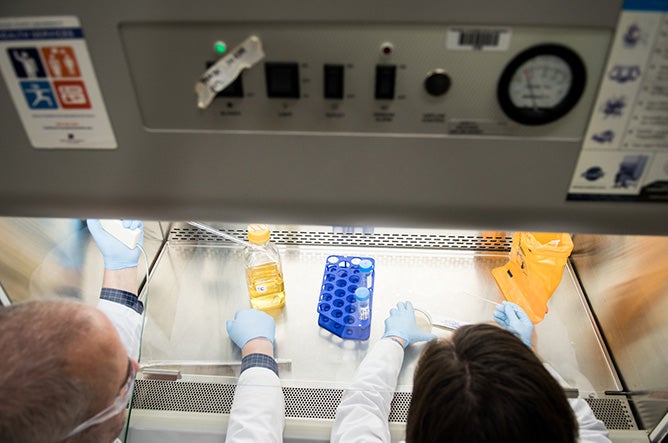 hands at work under lab hood