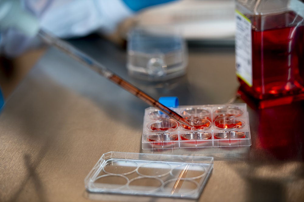 lab equipment with red fluid.