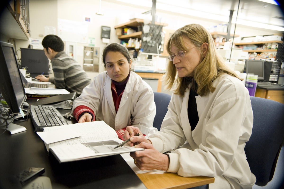 researchers in lab