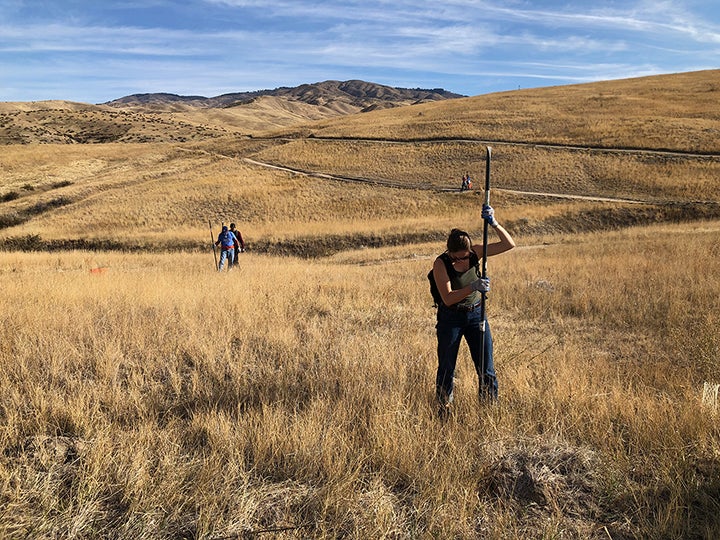 Students in the foothills planting seedlings