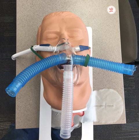 Triple trunk mask on manikin head