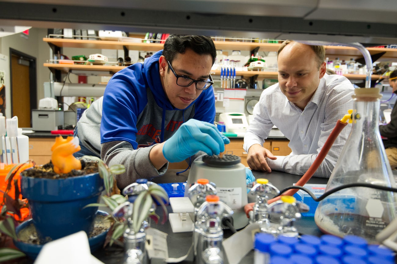 Two individuals working together in a laboratory. One operates equipment wearing blue gloves, while the other observes amidst plants, flasks, and supplies.