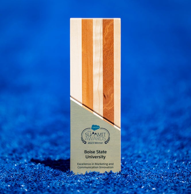 Excellence in Marketing and Communications Innovation award.