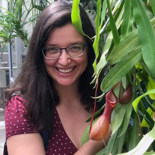Leonora Bittleston with a carnivorous pitcher plant from Southeast Asia known as Nepenthes. Photo by Jessica Bernardin.