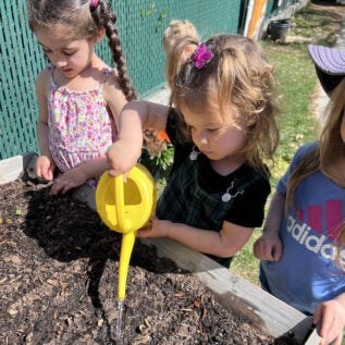 Children water a garden bed