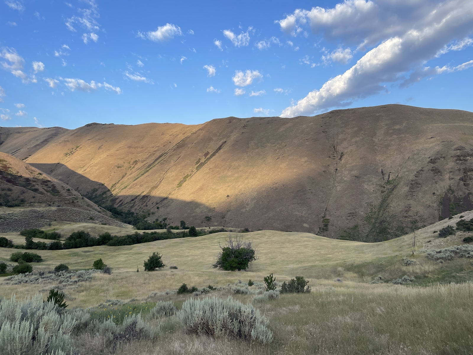 Idaho rangeland with hills. 