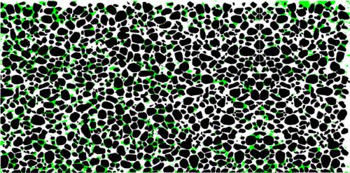 Bio-growth film