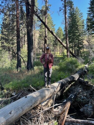 girl stands on log in forested area