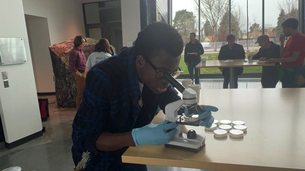 A man looks through a microscope