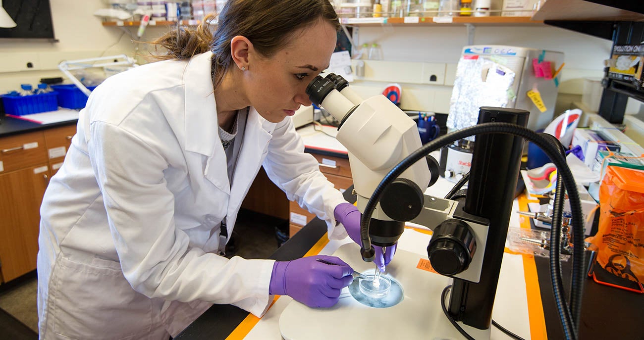 Scientist in a lab coat looking at research sample through a microscope